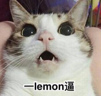 ƯŵƬƭǮŮޣ
