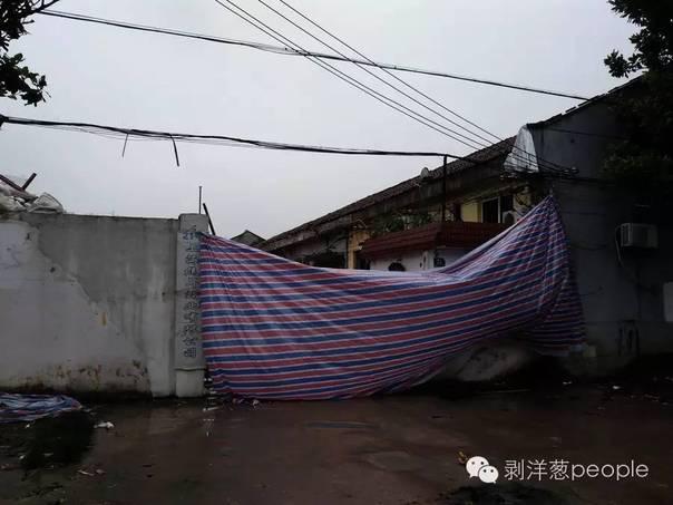 致命实验：死于导师工厂的研究生