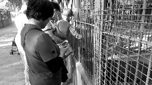 媒体曝不文明行为：家长自带零食供孩子投喂动物