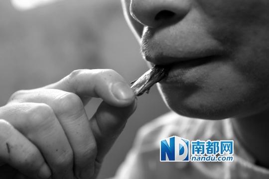 新会女子养10万只“小强”