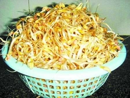 黑豆腐作坊建在垃圾场旁 加激素促豆芽生长_生