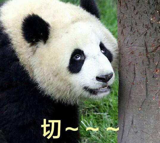 笑哭!老外抢劫中国面馆,老板大喊你一把刀我有