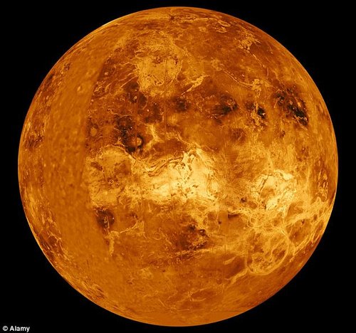 俄科学家称发现金星“蝎子” 有生命迹象(图)