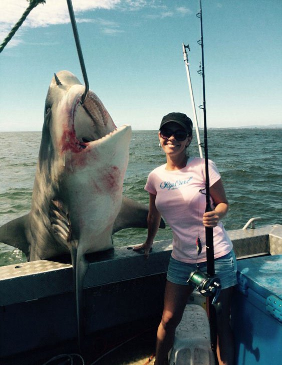 澳洲情侣捕获200公斤公牛鲨