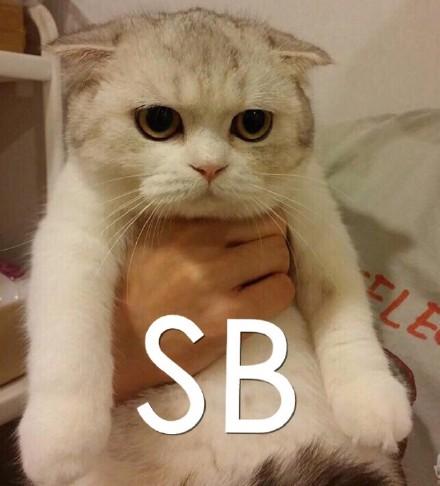 ܵܣҾ͸