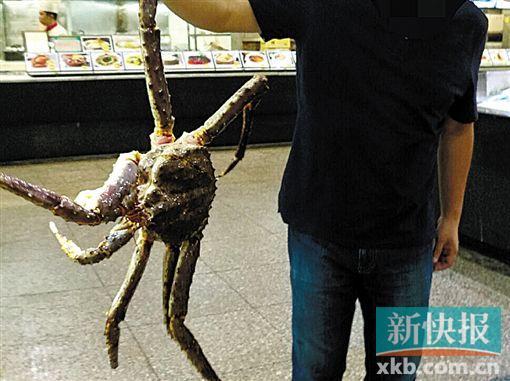 游客广州吃4000元帝王蟹 上桌后疑被掉包成死蟹