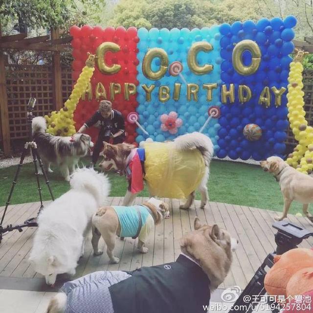 新闻哥吐槽：患者手持榔头闯入医院！原来是要钉钉子挂锦旗……吓死人