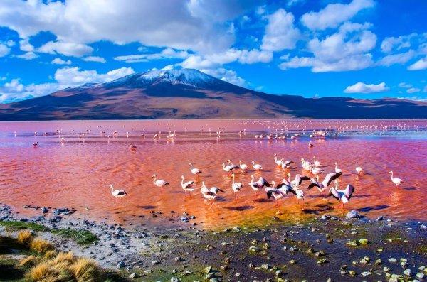 世界上12处色彩最艳丽的自然景观