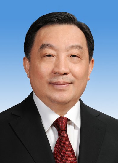 王晨当选为十二届全国人大常委会副委员长