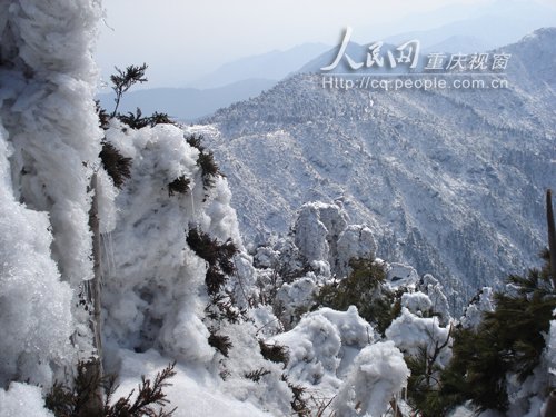 重庆武隆仙女山降下今冬第一场雪(组图)
