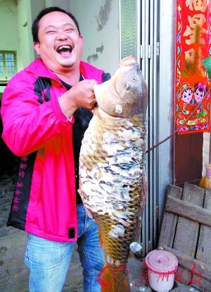 广东丰顺一村民钓到28斤重野生大鲤鱼(图)