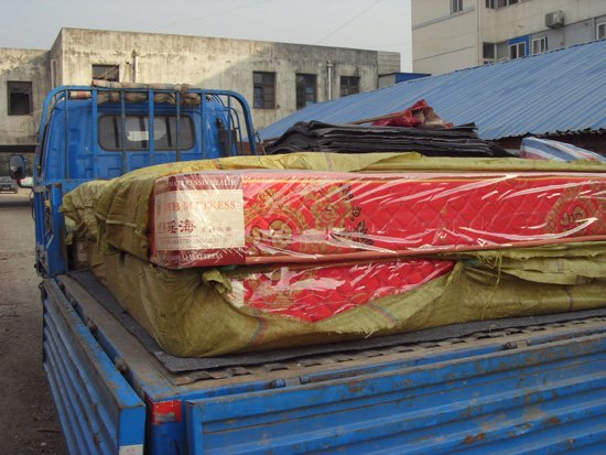 巢湖无为杨志东涉嫌假冒注册商标案