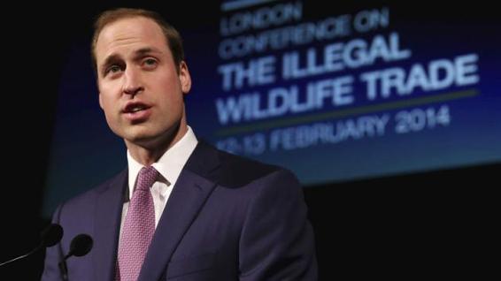 中英加强动植物保护合作 威廉王子将上央视演