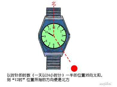 解放军教你野外生存技巧：如何判别方向 