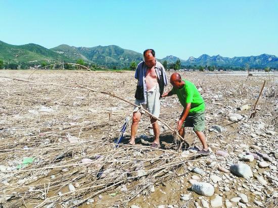 河北残疾哥俩种树不敢卖 洪水来袭14年心血全毁