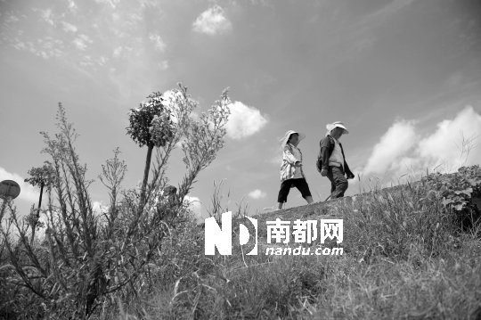 8岁半女孩徒步700公里从深圳回湖南老家