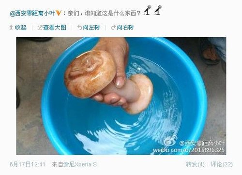 西安女记者误将成人用品认作太岁灵芝(图)-重