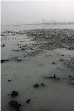 民间环保组织称27家苹果供应商涉嫌违规排放