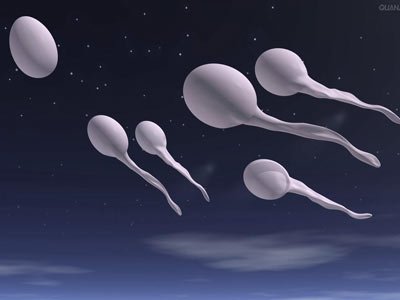两性常识:揭秘精子怎样从睾丸游到阴道_新闻_