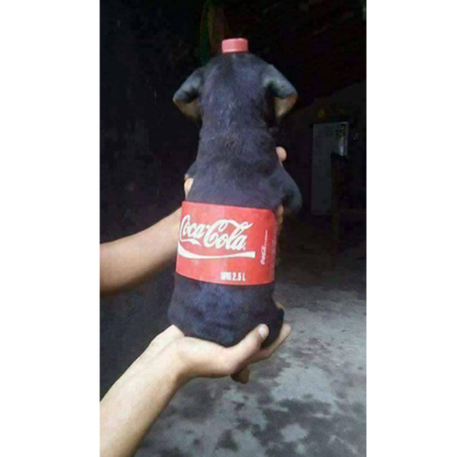 ŮΪծ޸ǷծˣɷˣǮͿ