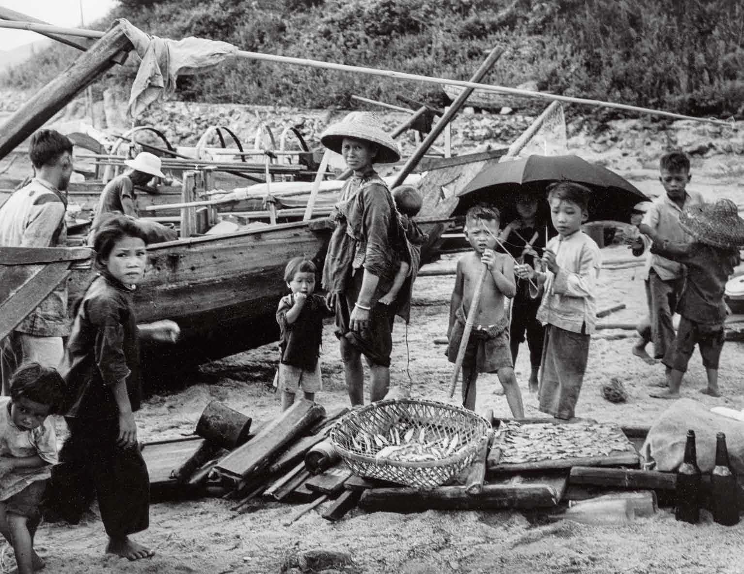 1951年,大埔。 1951年,大埔。