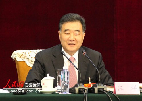 汪洋在安徽团讨论：改革就是要拿刀割自己的肉