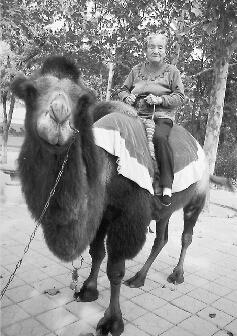 102岁老人动物园骑骆驼:趁还年轻多出去逛逛(图)