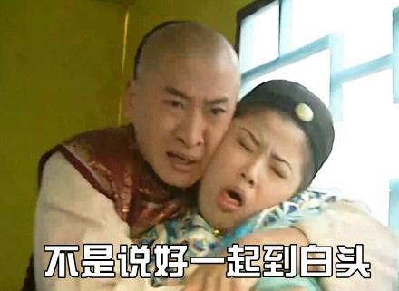 别看你没脑子,还挺讲义气!