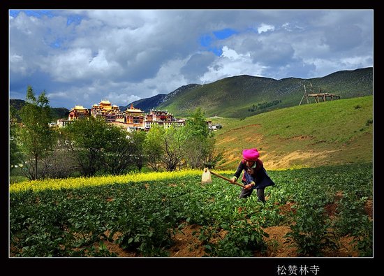 2013雪花纯生中国古建摄影大赛颁奖典礼在京举行