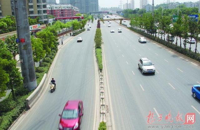 南京现11厘米宽最窄绿岛 建设部门回应地形特