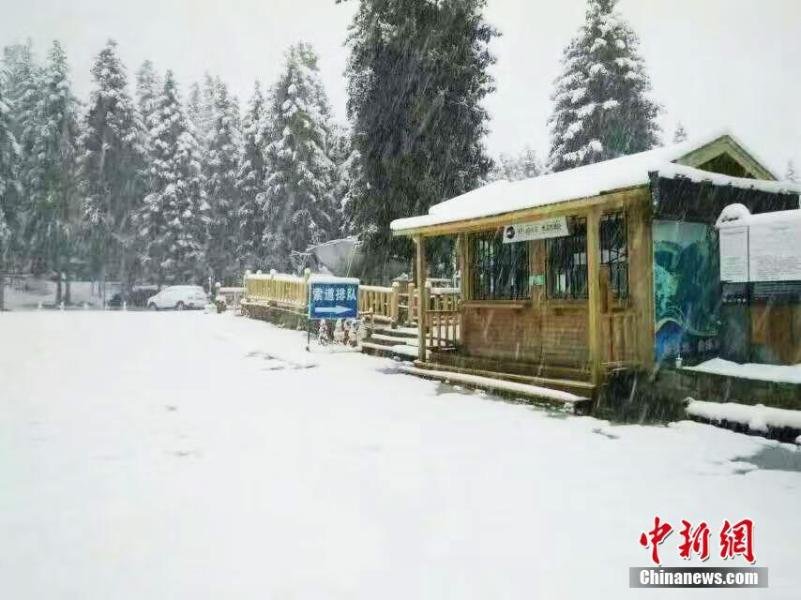 新疆天池飘落第一场雪 景色犹如水墨画(组图)