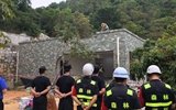 深圳现深山别墅:砍2578棵树建成
