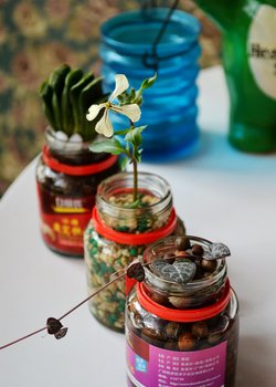 《LOHAS乐活》杂志合作专题