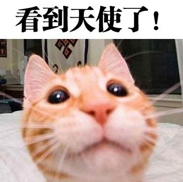 公司赔这钱到底冤不冤?