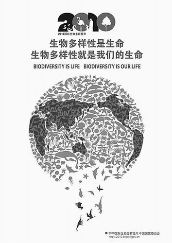 什么是生物的多样性 35391981.jpg