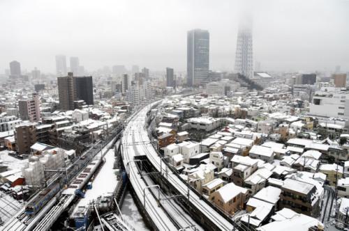 日本东部遭遇暴雪袭击。