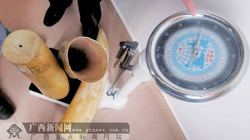 广西查获707根“私藏”象牙 总案值估算超亿元