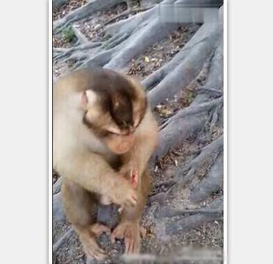 有本事去找前女友算账啊！