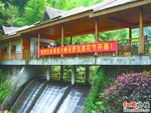 湖南景区称成年处女游客可免票 是否真实凭诚信