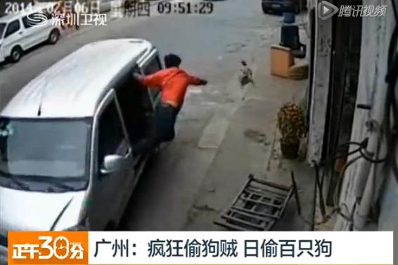 广东盗抢团伙偷狗仅5秒 持械拒捕引民警开枪
