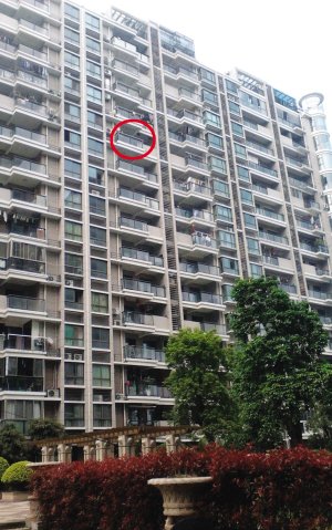 福州抑郁症双胞胎姐妹 同一天双双跳楼自杀(图