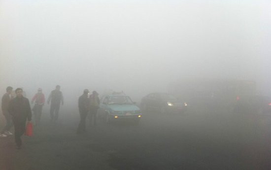 哈尔滨雾霾致公交车迷路 花6小时才到终点(图