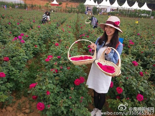 云南鲜花饼节开幕 网络大咖亲自体验云南味_新闻_腾讯网