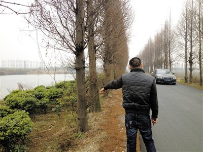文章配图
