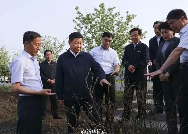 习近平:摸索接续产业发展路子