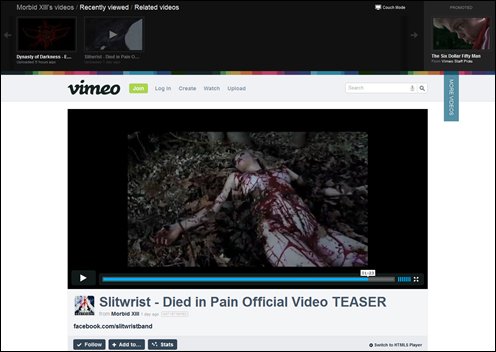 网友推测蓝可儿命案嫌犯或为其暗恋歌手(图)