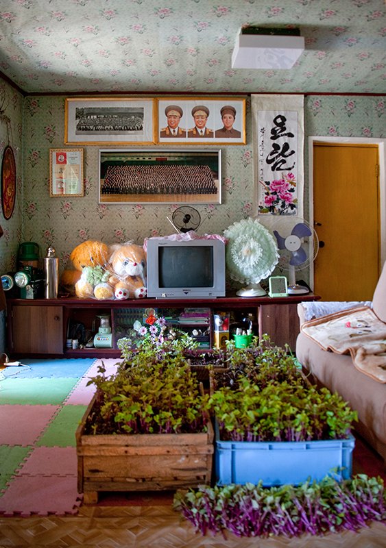 村民的房屋都非常崭新,每家都配有电视和空调。我在村长的家里住下,我的房间里还有个浴室,在当地算是非常奢华的配置了。唯一令人感到沮丧的是一个装满冻鱼、发臭的冰柜。这种臭味从侧面也反映出村子里停电是家常便饭的事。村长非常自豪地带我去他的房间,屋内挂满了金日成和金正日的照片。 村民的房屋都非常崭新,每家都配有电视和空调。我在村长的家里住下,我的房间里还有个浴室,在当地算是非常奢华的配置了。唯一令人感到沮丧的是一个装满冻鱼、发臭的冰柜。这种臭味从侧面也反映出村子里停电是家常便饭的事。村长非常自豪地带我去他的房间,屋内挂满了金日成和金正日的照片。