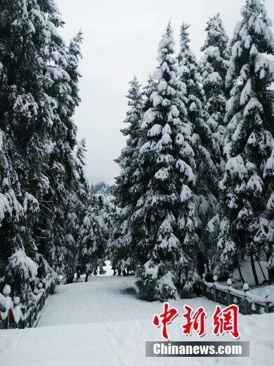 新疆天池飘落第一场雪 景色犹如水墨画(组图)