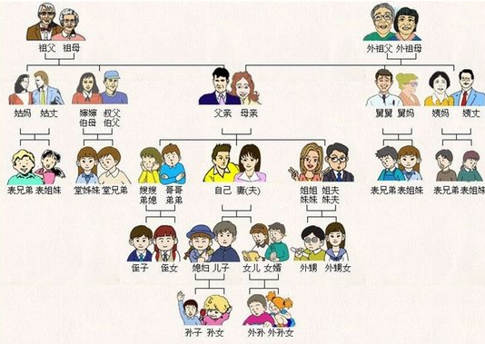 中国亲戚关系图受网友追捧 被赞回家过年必备