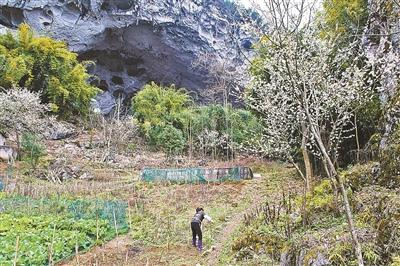 亚洲唯一穴居部落在什么地方 住近百苗族人 无人愿迁出